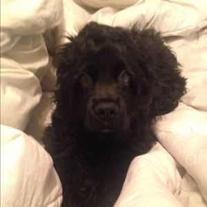 Meet your Posher, Carlos